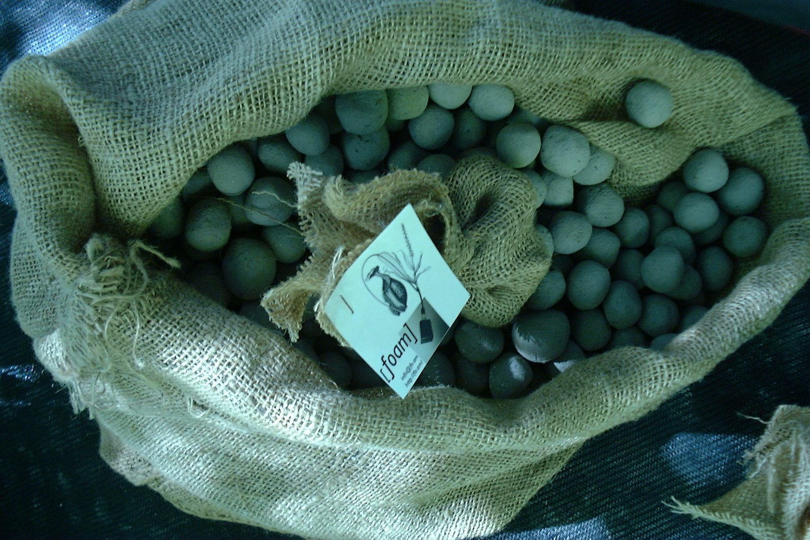 1984-the_prinzessinnengarten_in_berlin_-_seedball_workshop