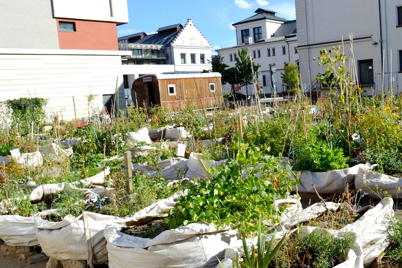 1972-green_prague_holesovice__prazelenina