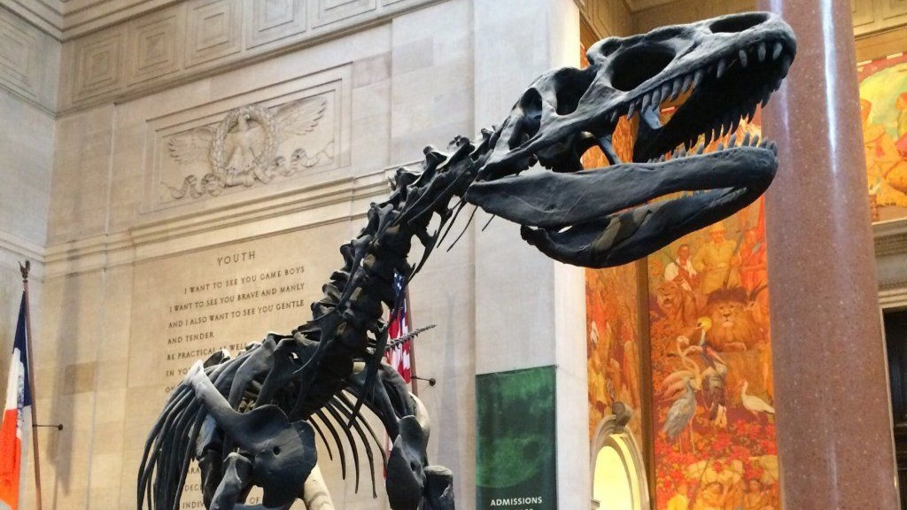 1_american_museum_of_natural_history_-_copy