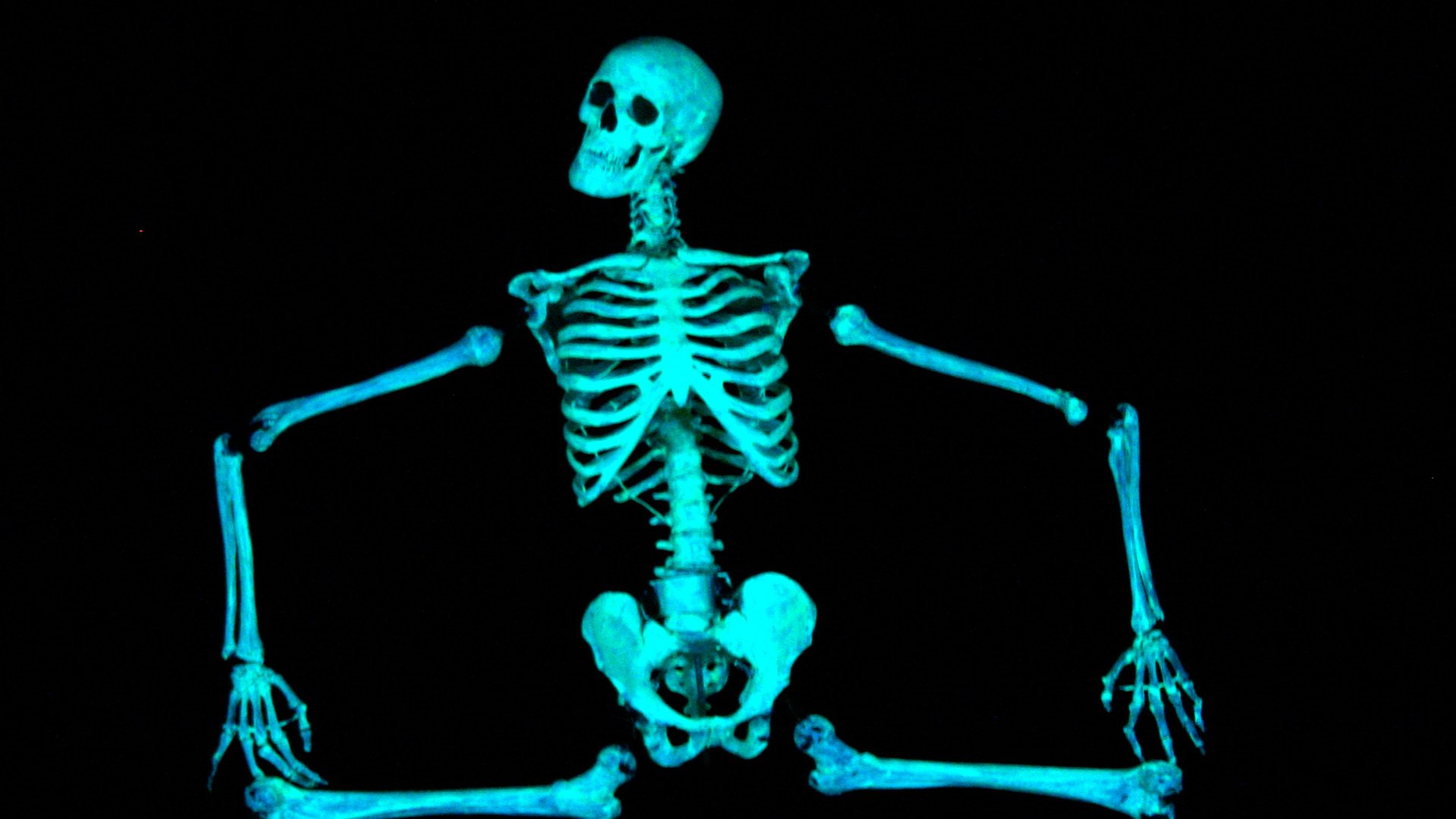 codan-prague-black-light-theater-image