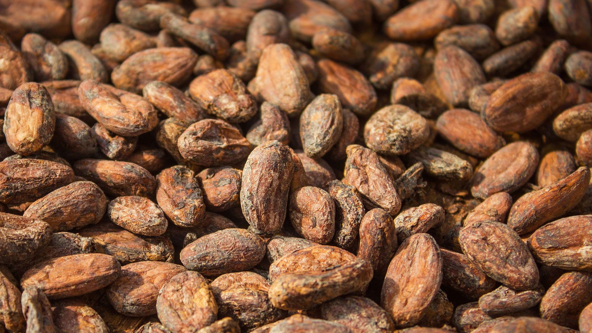 379-uberland-hamburg-visit-chocoversum