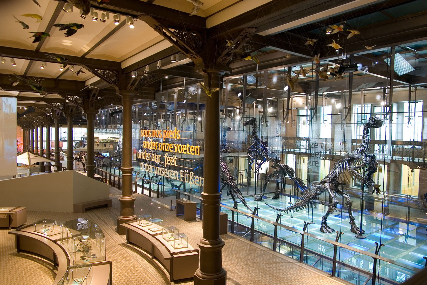 1925-museum_of_natural_history_brussels