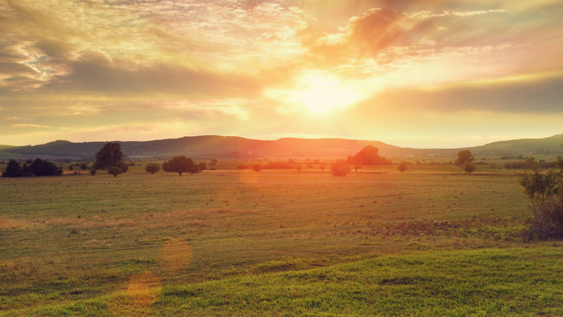 budapest-puszta-biczopuszta