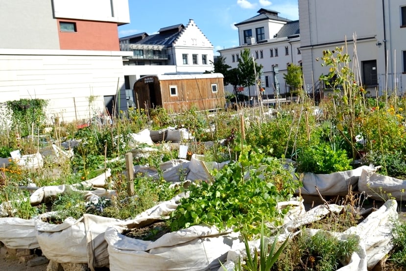 1972-green_prague_holesovice__prazelenina