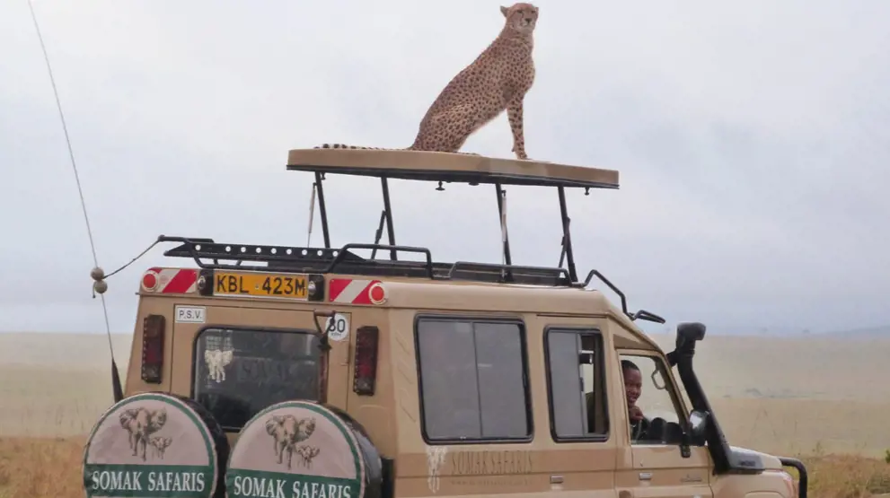 Få en uforglemmelig safarirejse med BENNS