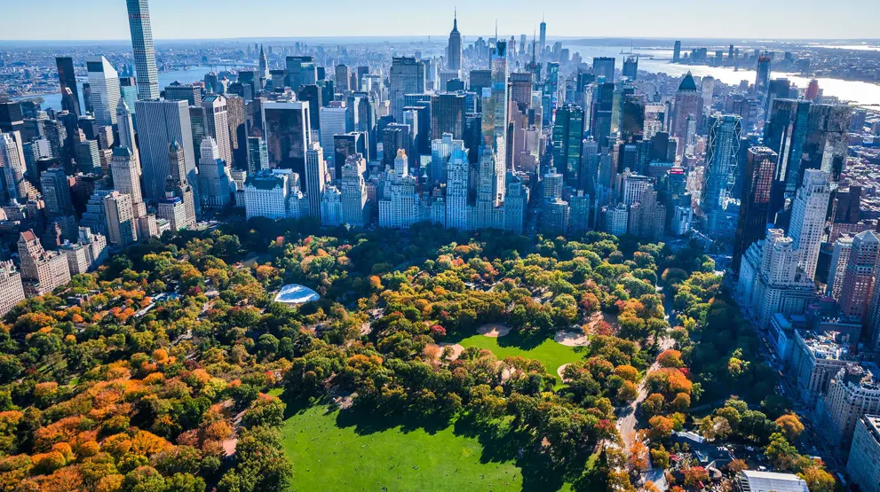 Central Park - den grønne oase midt i New York