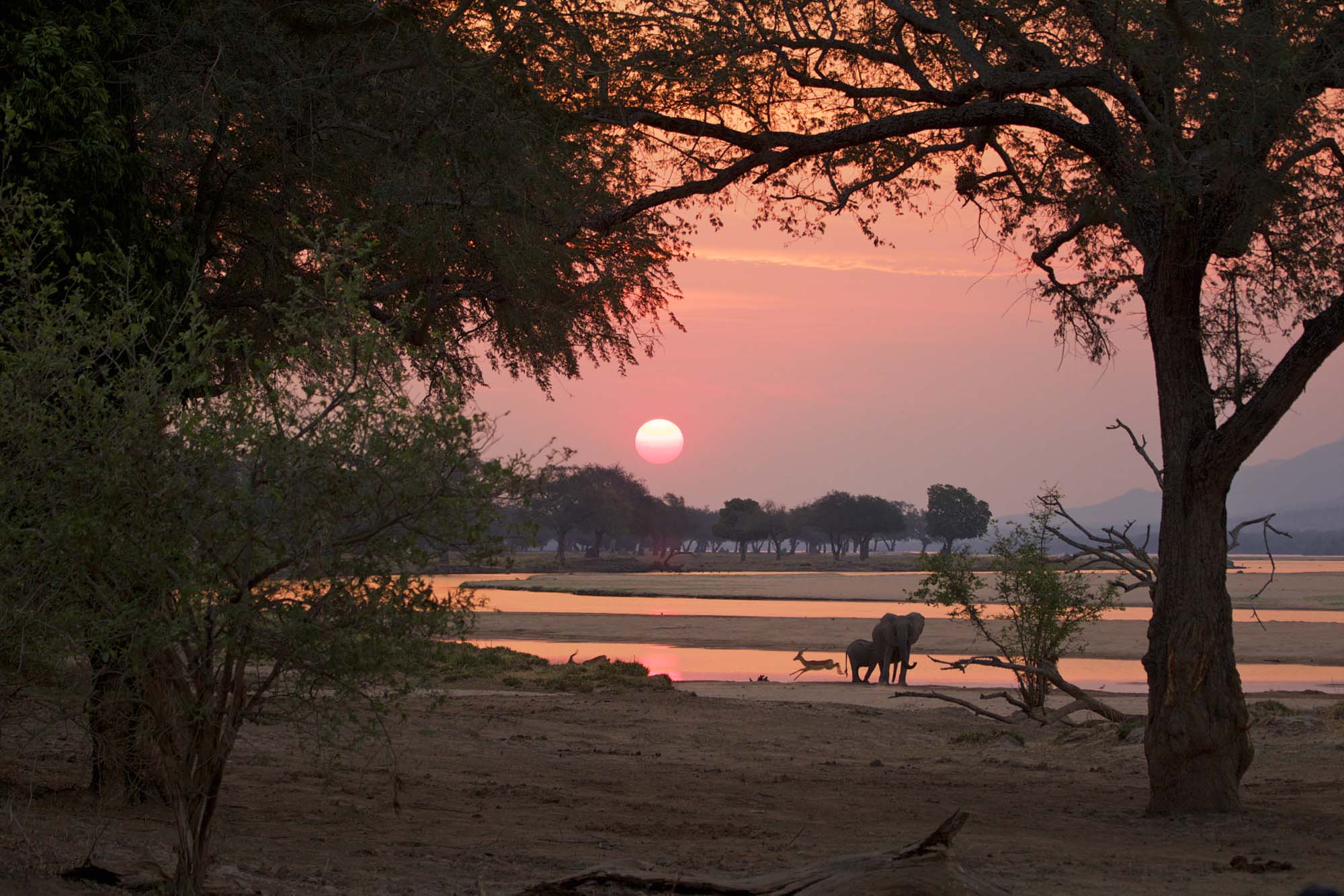 Mana Pools National Park i solnedgangen.