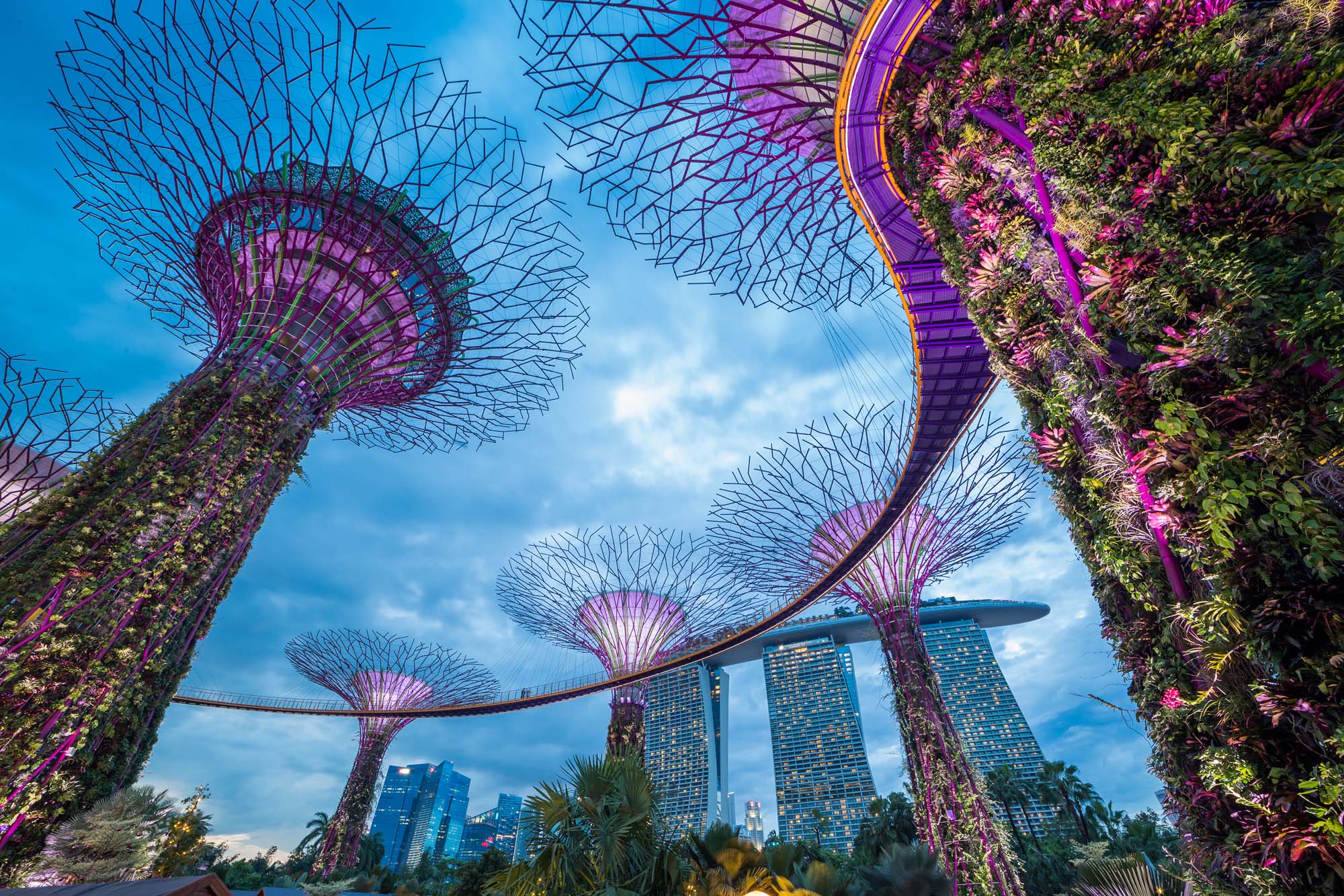 Oplev de futuristiske supertrees i Gardens by the Bay på Singapore-rejser.