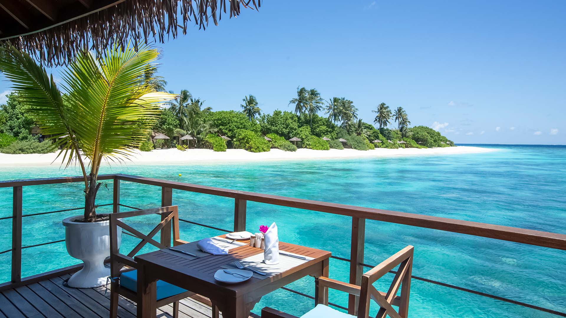 Udsigt fra en af restauranterne ved Reethi Faru Resort