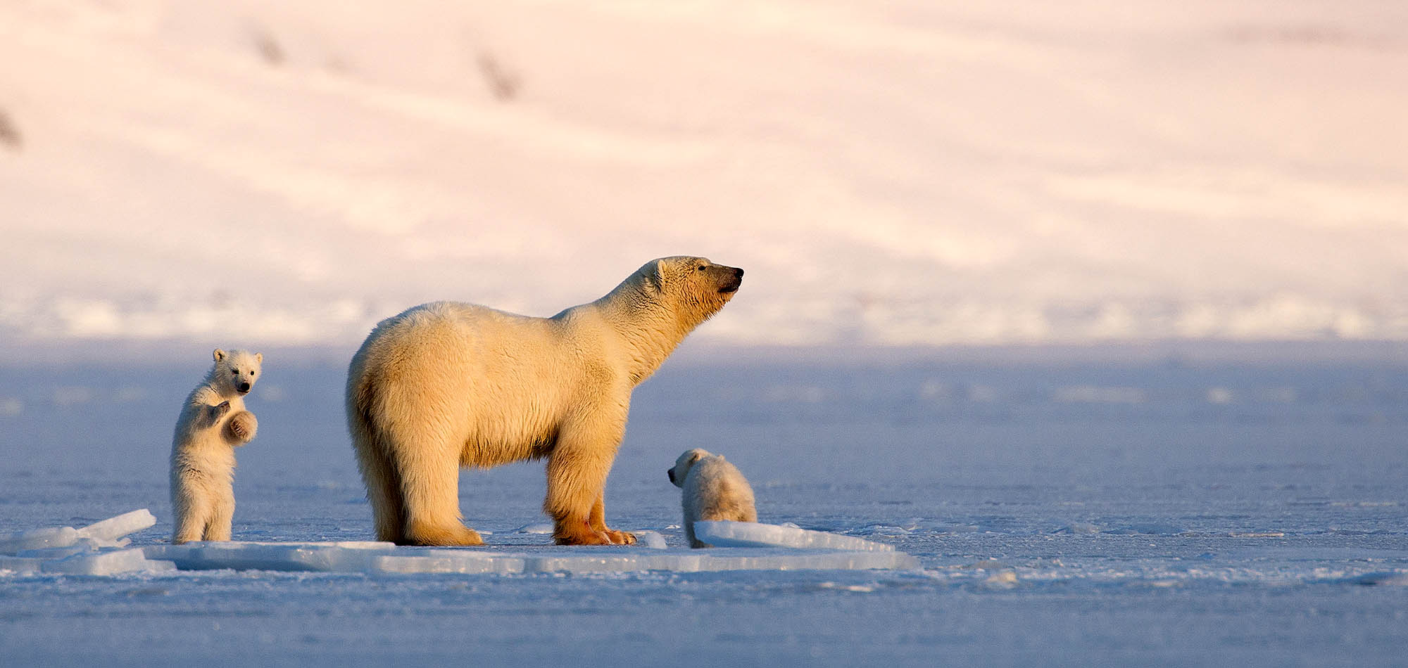 Gå på opdagelse i nogle af verdens mest uberørte steder | Foto: Visit Norway / Asgeir Helgestad