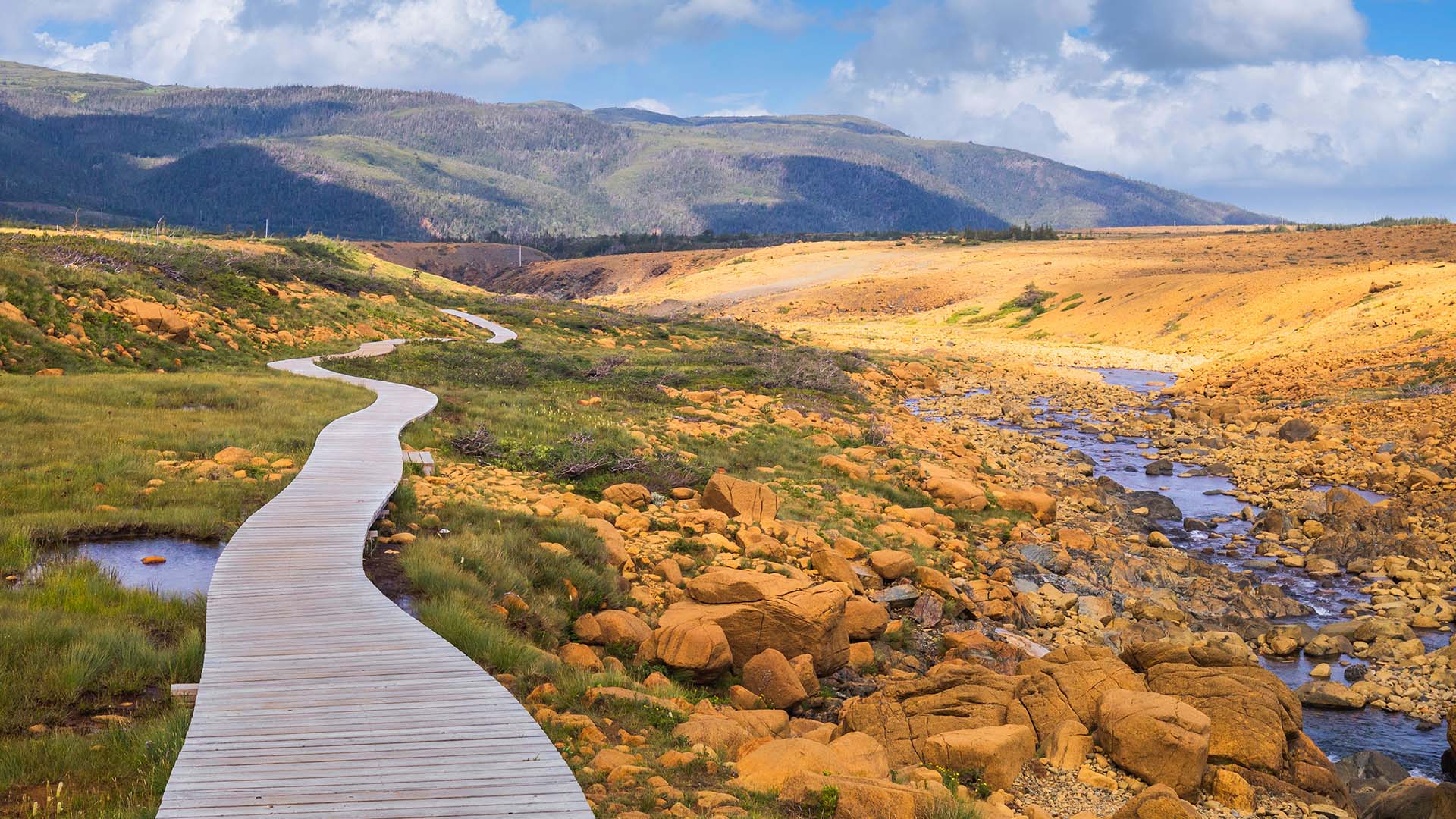 I kan bl.a. tage på dagsudflugt til Gros Morne National Park