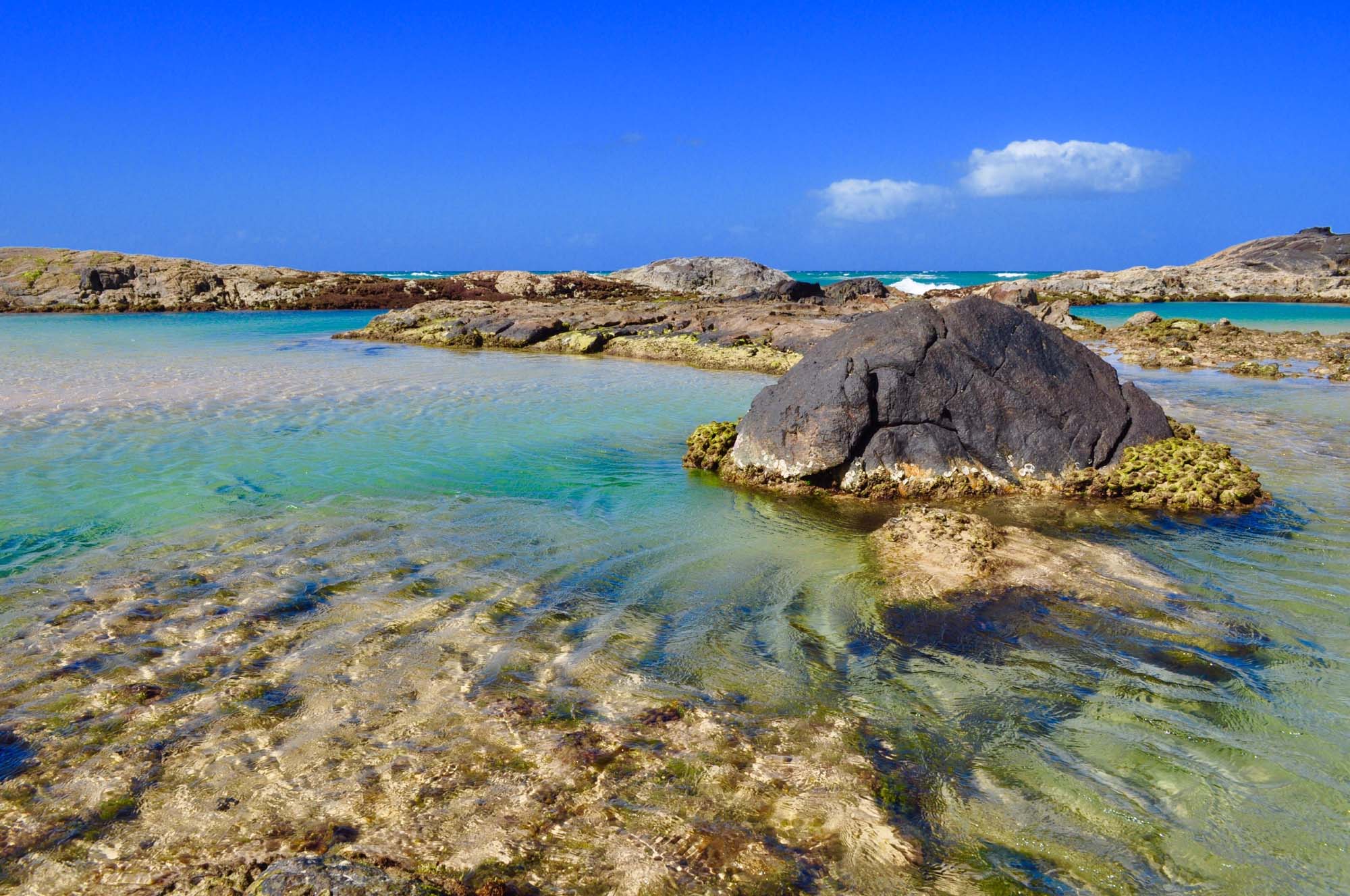 Oplev Champagne pools på Fraser Island