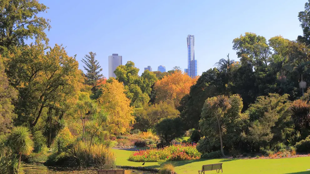 Besøg den botaniske have i Melbourne