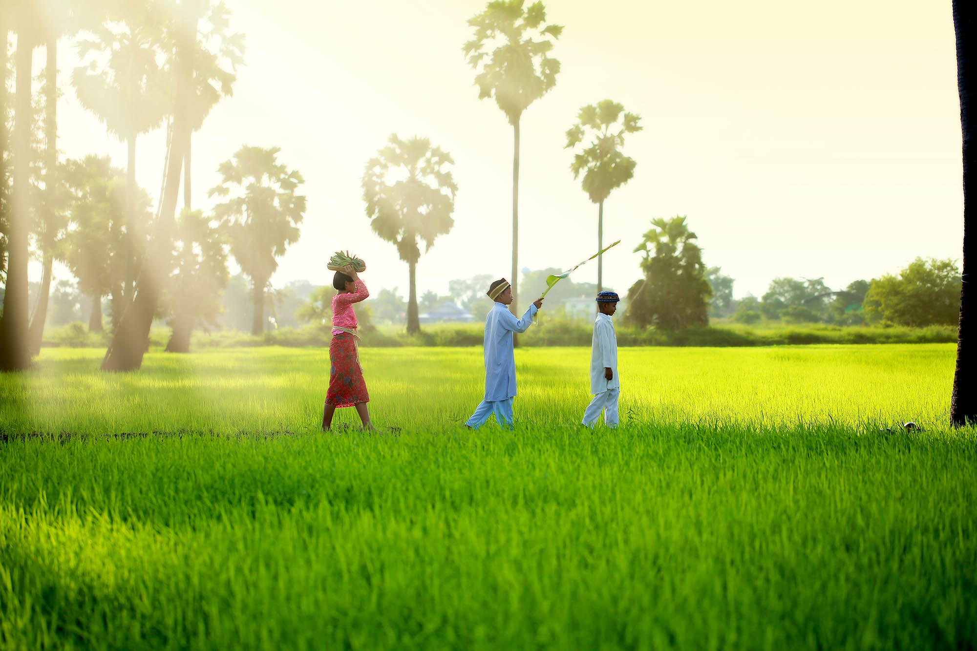 Se den balinesiske lokalbefolkning på rejser til Bali