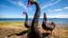 new-zealand-lake-taupo-black-swans-iStock-510224094