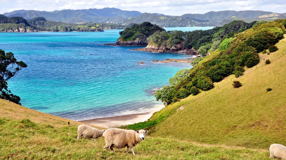 Oplev den fantastiske natur på en rejse til New Zealand