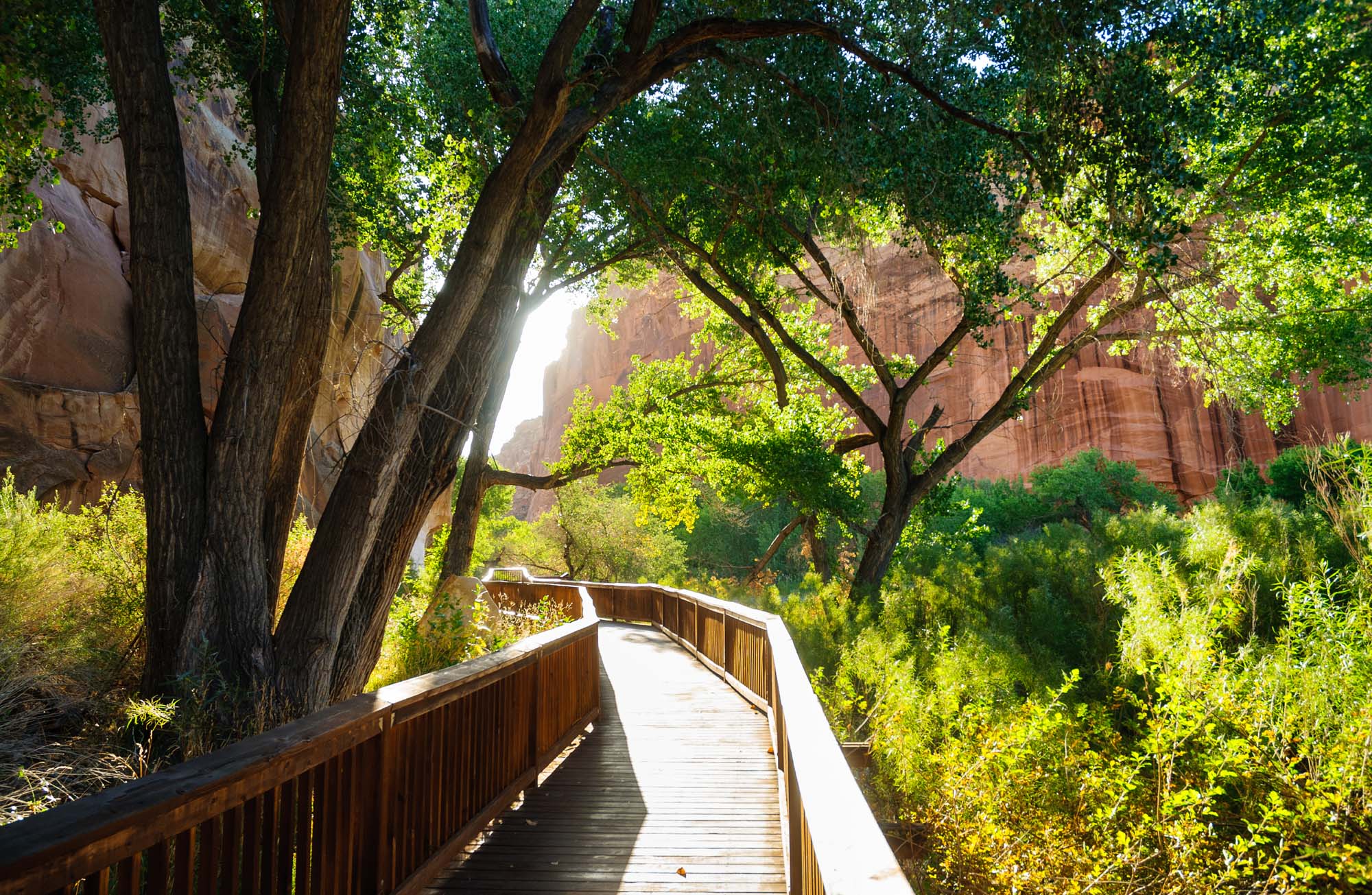 Gå rundt i smukke omgivelser i Capitol Reef National Park