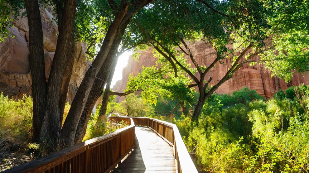 Gå rundt i smukke omgivelser i Capitol Reef National Park