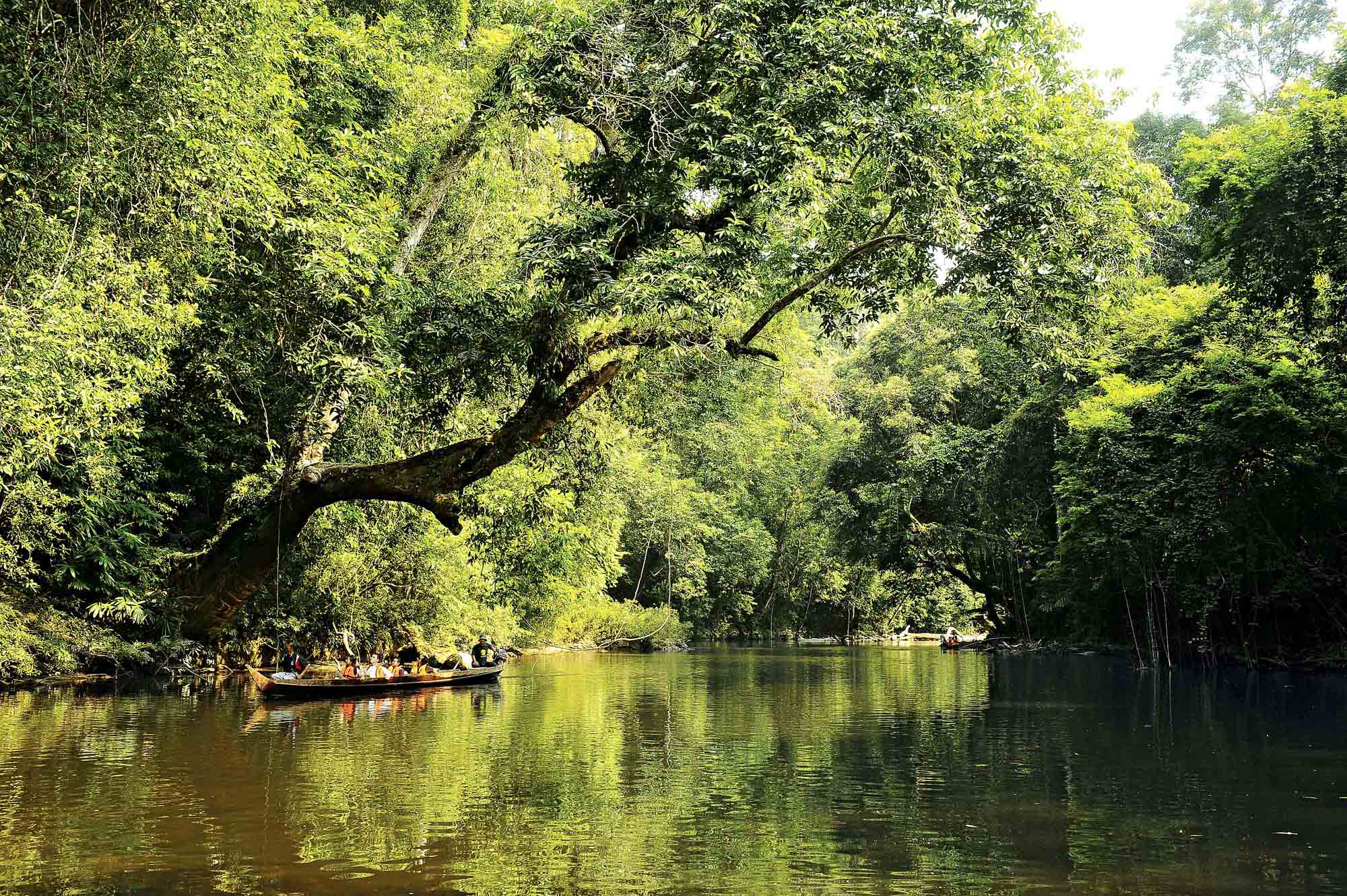 Kom på idyllisk sejlads midt i regnskoven | Foto: Tourism Malaysia