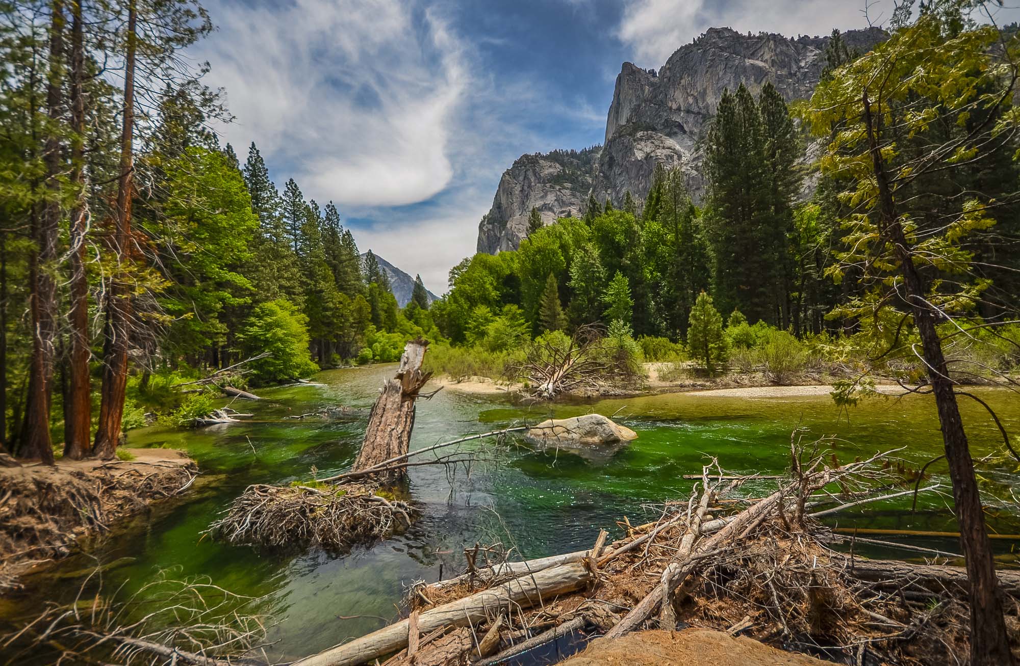 Oplev fantastisk natur i Sequoia og Kings Canyon National Park
