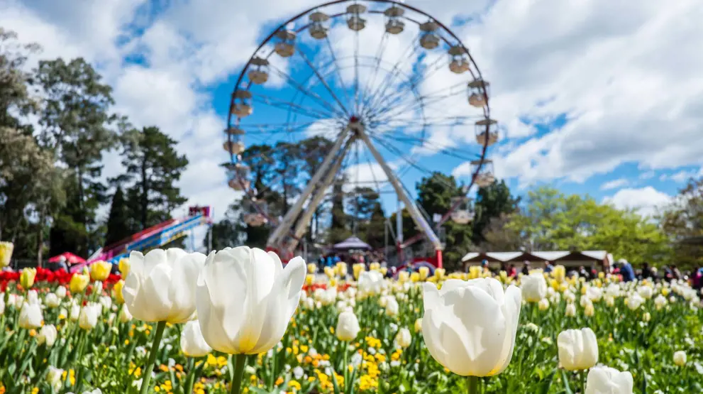 På rejser til New South Wales kan du opleve skøn kultur og historie i Canberra.