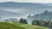 uganda-bwindi-morning-fog-over-tea-plantations-iStock-530577284