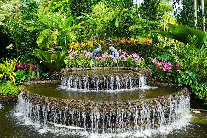 Besøg den UNESCO-beskyttede botaniske have på din rejse til Singapore.