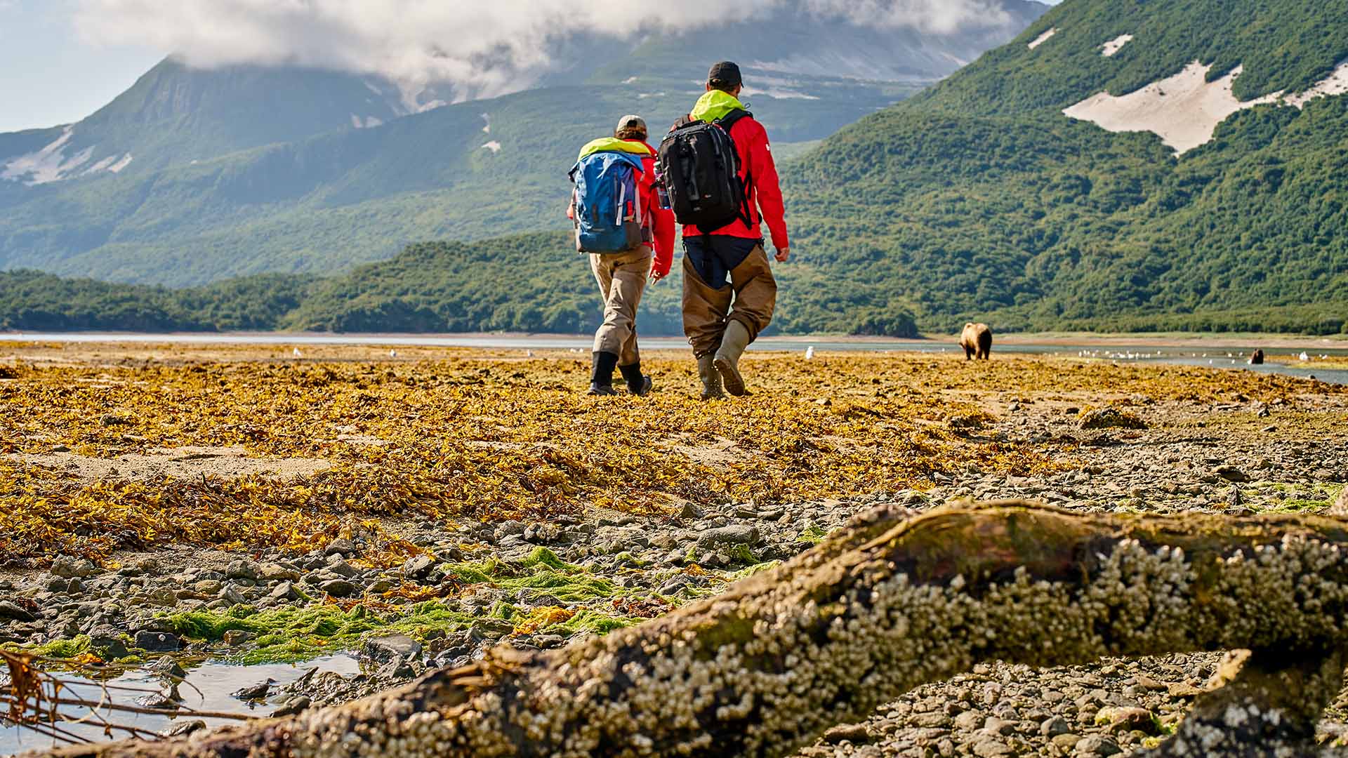 Tag på ekspedition til Katmai National Park