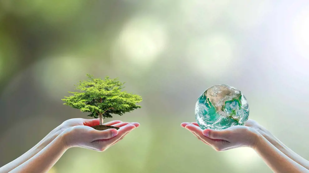 Vedvarende energi, et emne i biologi