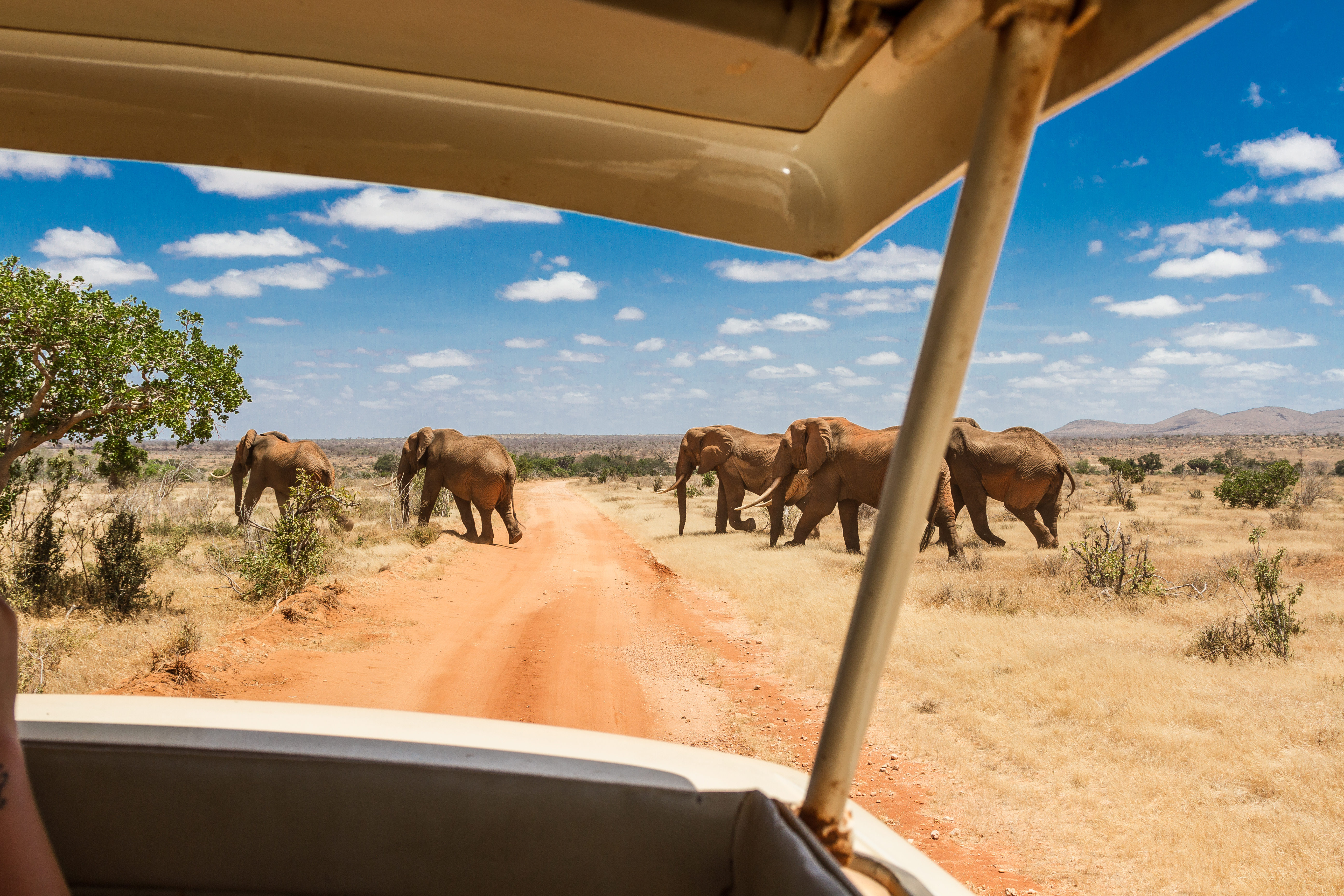 Tsavo Kenya Safari Shutterstock 479544490