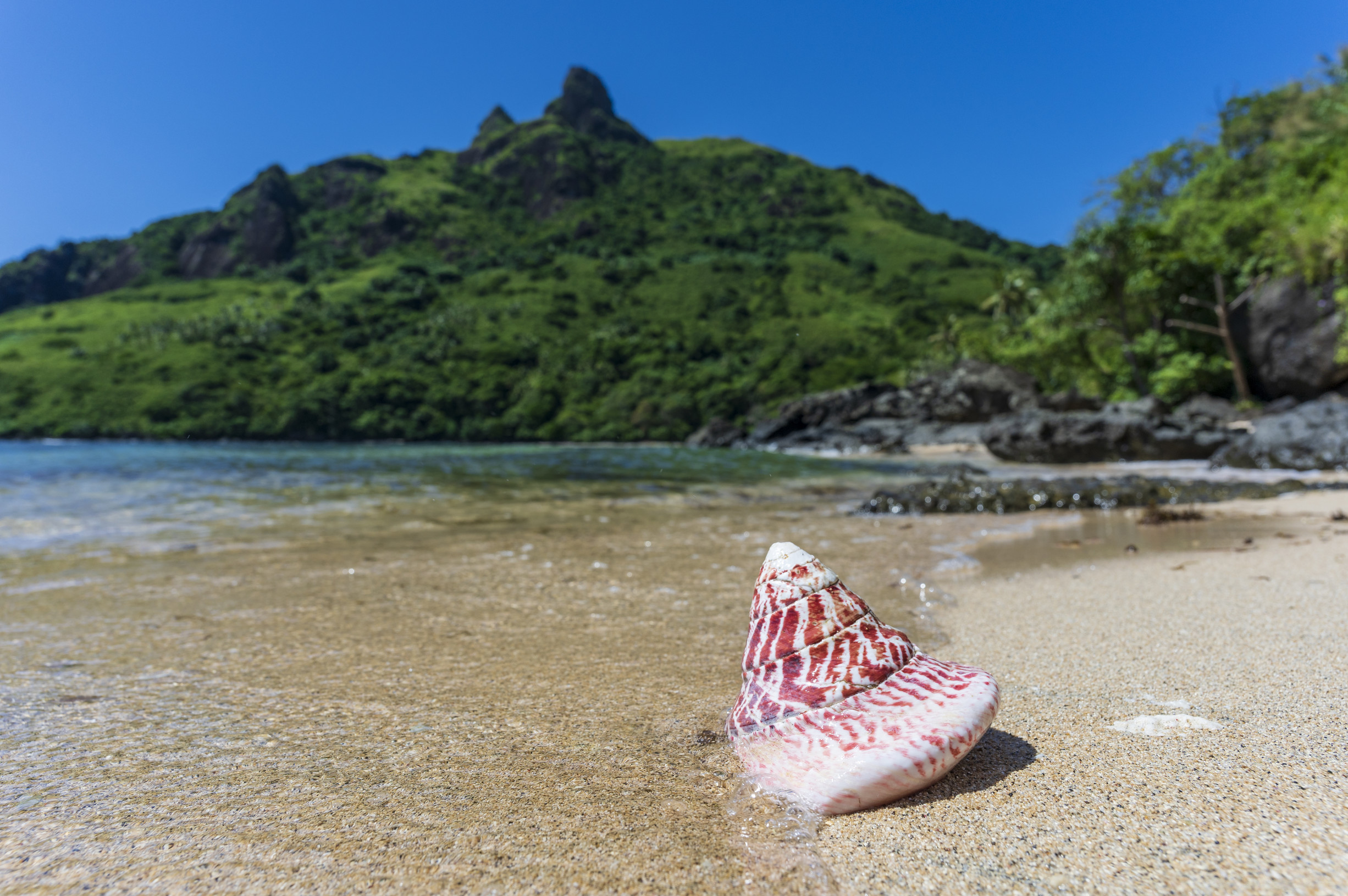 Fiji-rejser tilbyder mange øer, uberørte såvel som beboede, som du kan udforske.