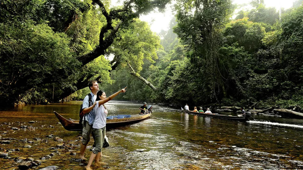 Oplev regnskoven i Taman Negara