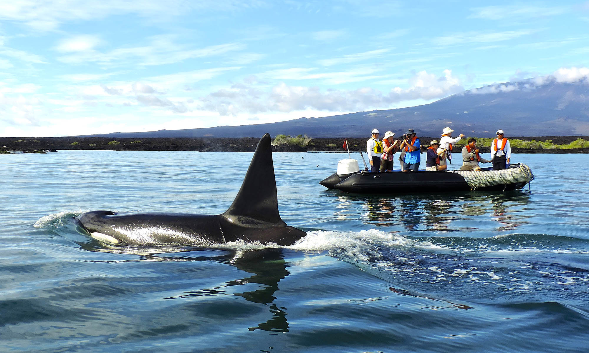 Kom tæt på dyrelivet med det erfarne ekspeditionsteam