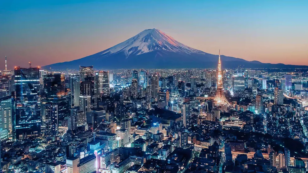 Rejsen slutter i Tokyo, hvor I kan opleve den pulserende storbystemning