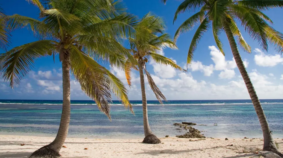 Krydstogter i Caribien byder på tropisk klima, smukke strande og caribisk charme