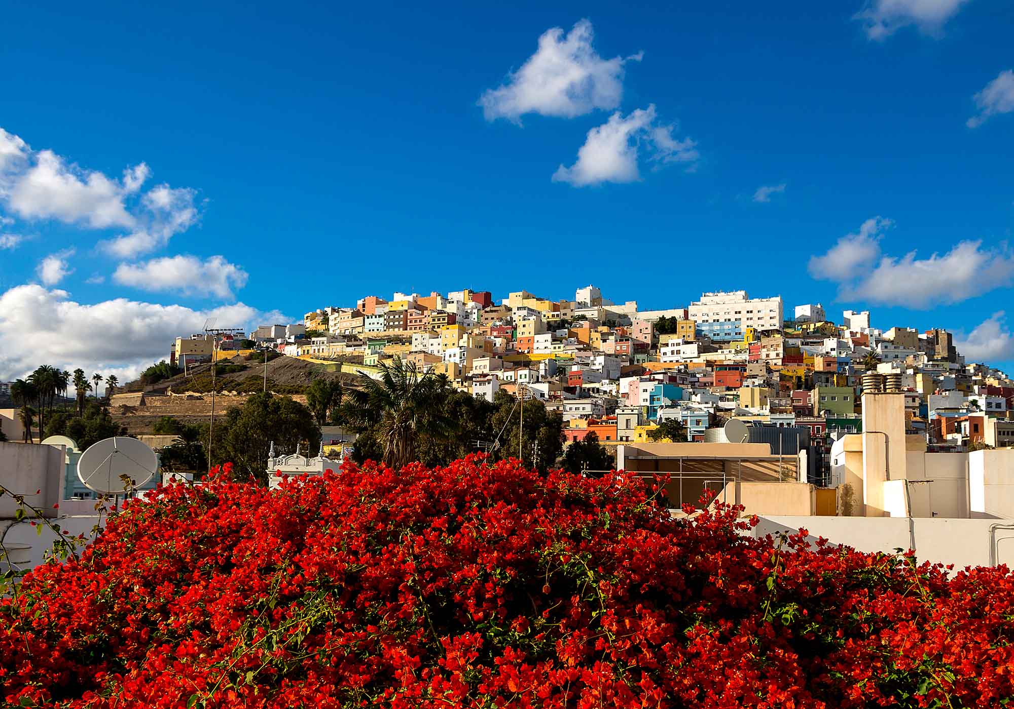 Turen starter og slutter i Las Palmas på Gran Canaria