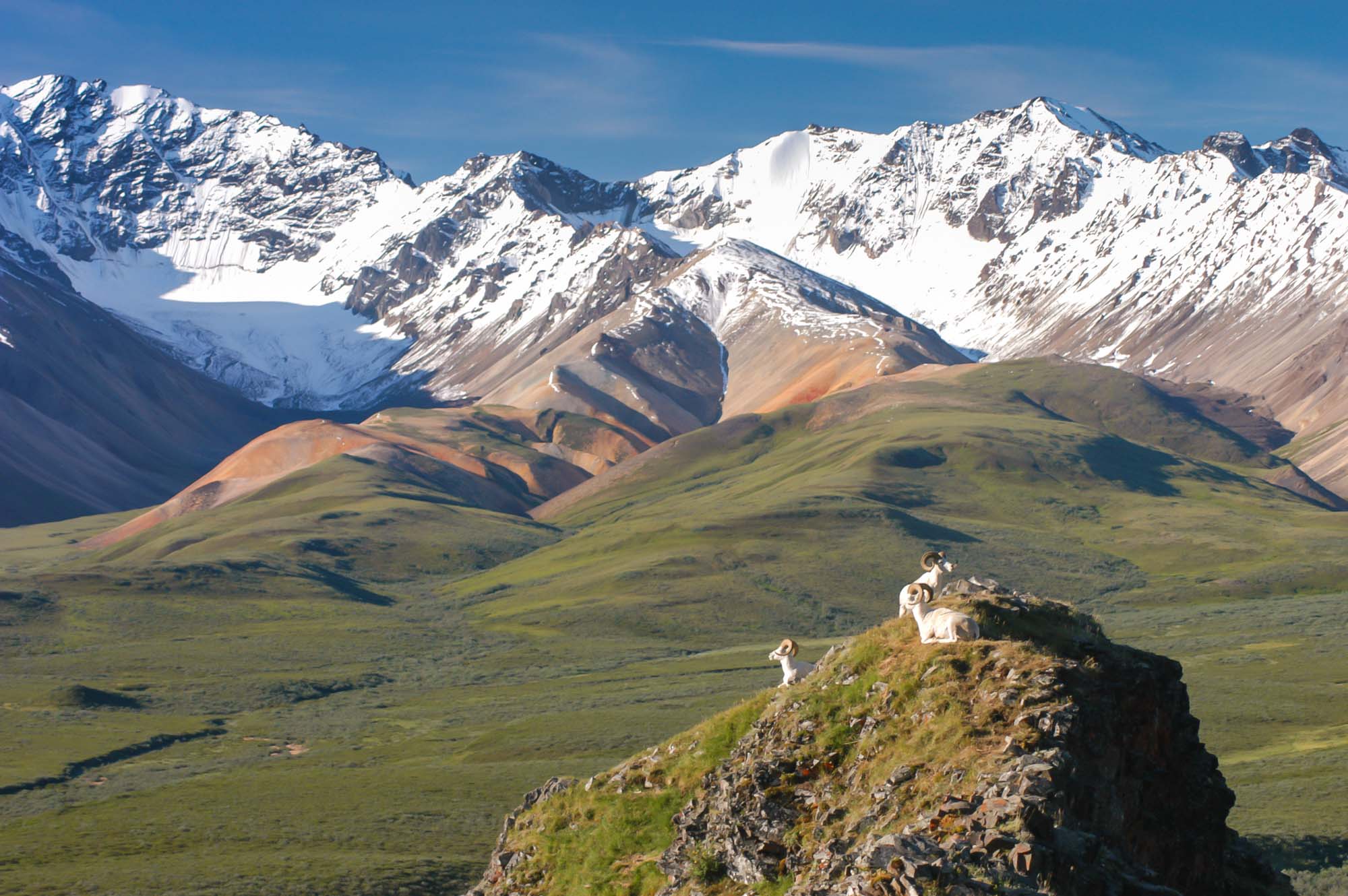 USA-Alaska-Denali-National-Park-iStock-89057425-LARGE