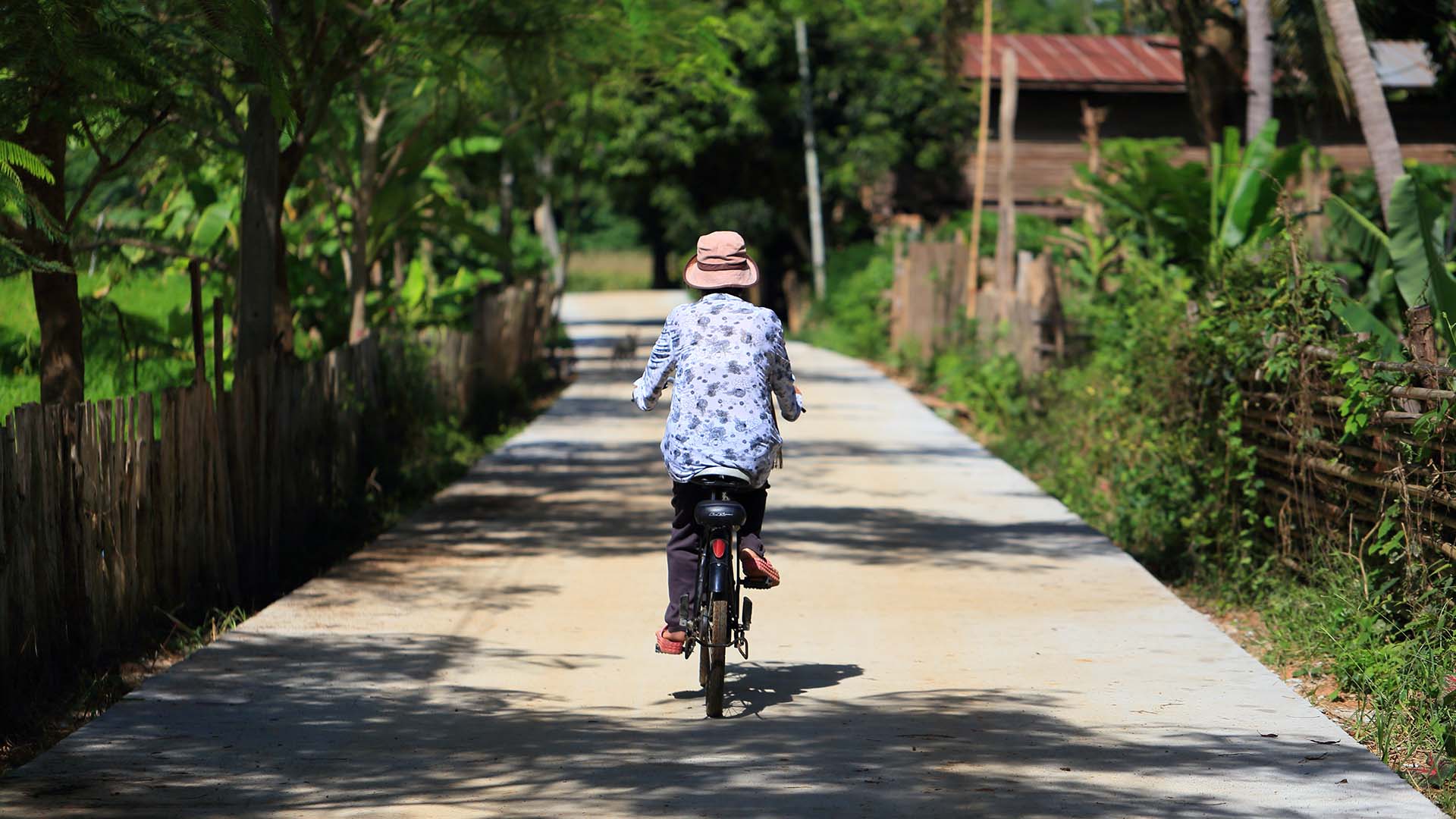 I kommer på flere cykelture, bl.a. gennem landsbyer og rismarker her i Sukhothai.