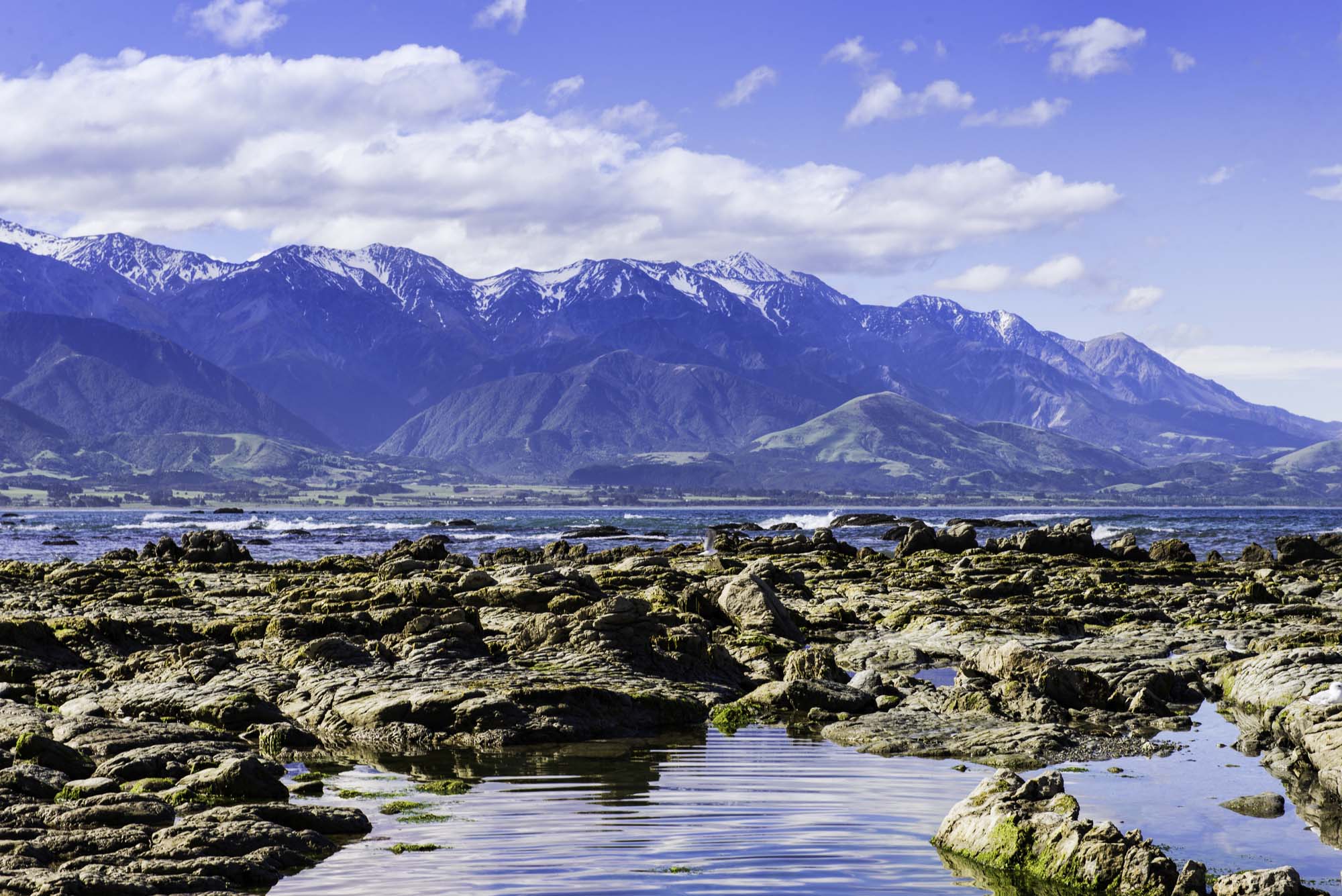 new-zealand-kaikoura-iStock-514828186