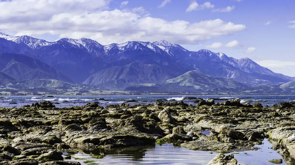Naturen er smuk ved Kaikoura