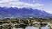 new-zealand-kaikoura-iStock-514828186