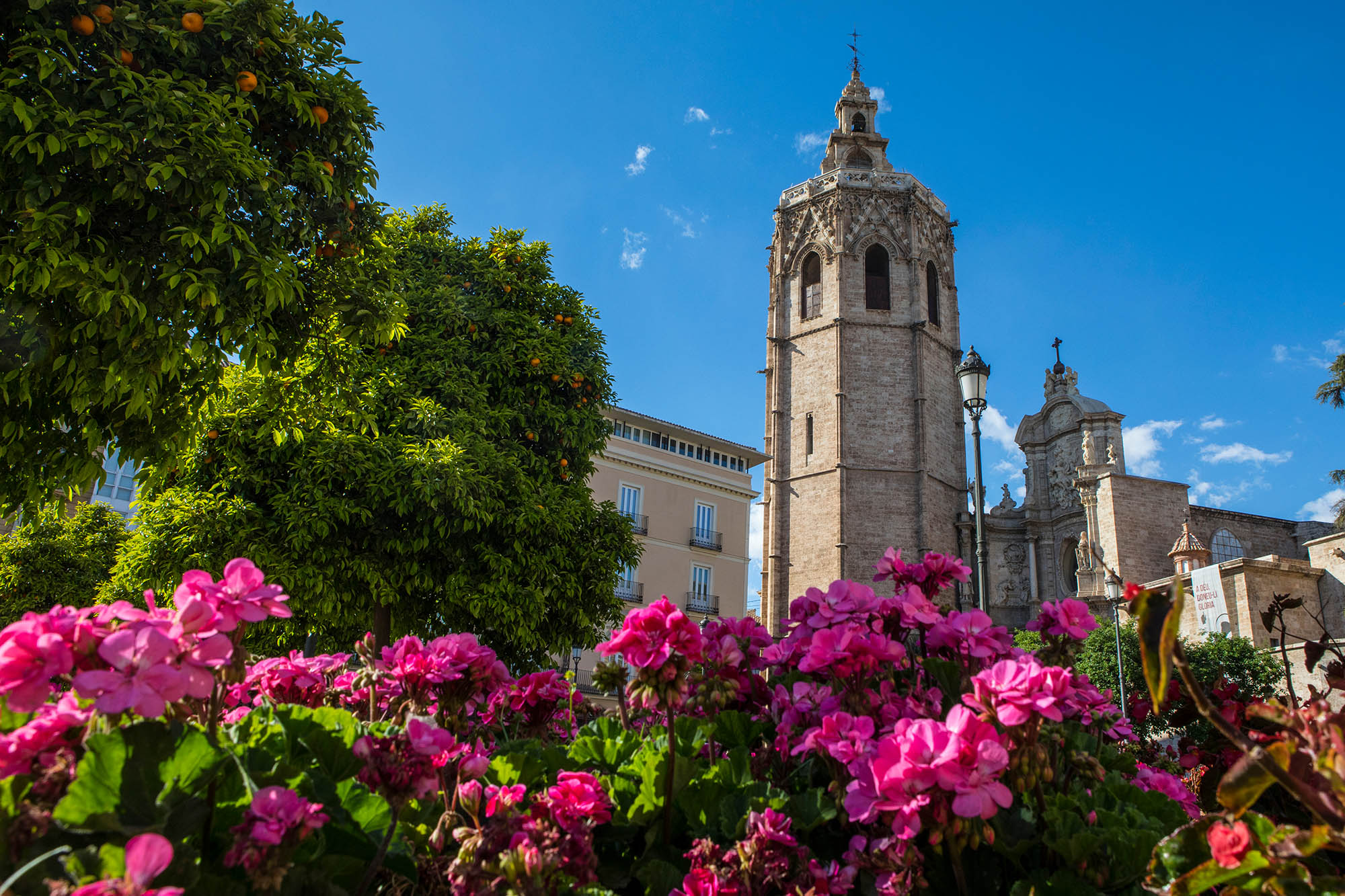 Vælg mellem flere skønne ruter for dit Middelhavet-krydstogt, besøg fx Valencia i Spanien