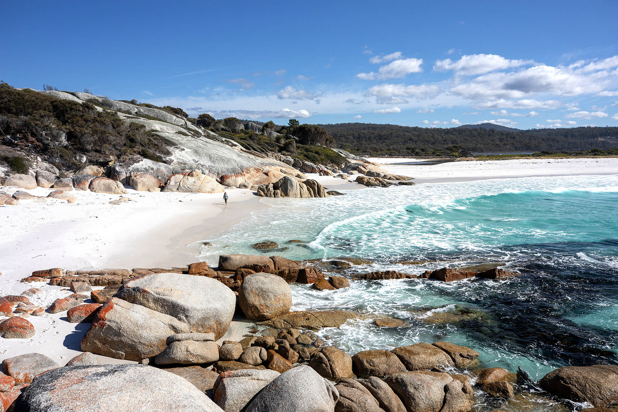 Australien-rundrejser byder på smukke kyster i Tasmanien. Foto: Tourism Australia.