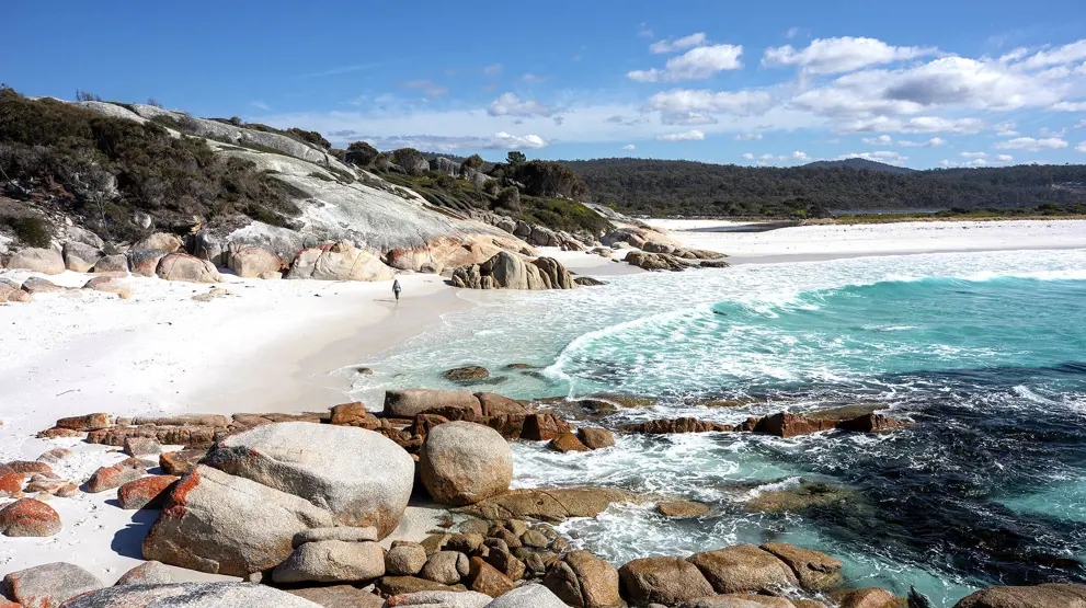 Rejser til Tasmanien byder på store oplevelser i naturen og charmerende byliv.