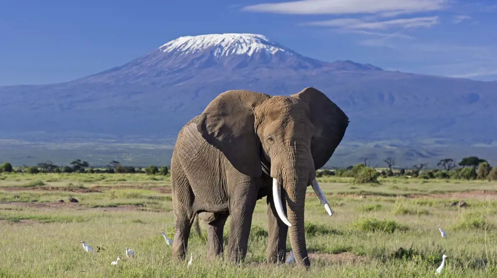 Amboseli National Park