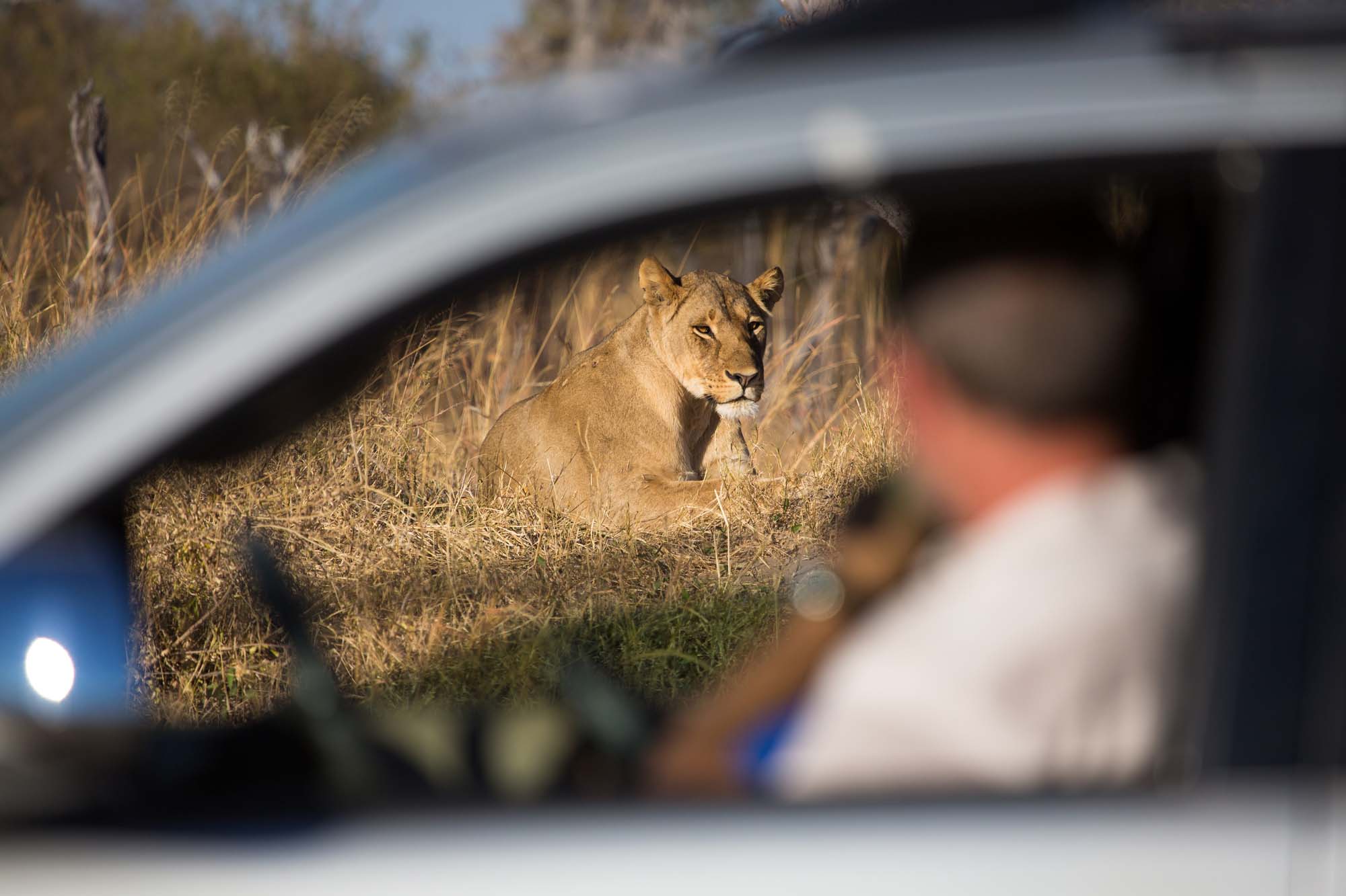 På safari i Hwange National Park