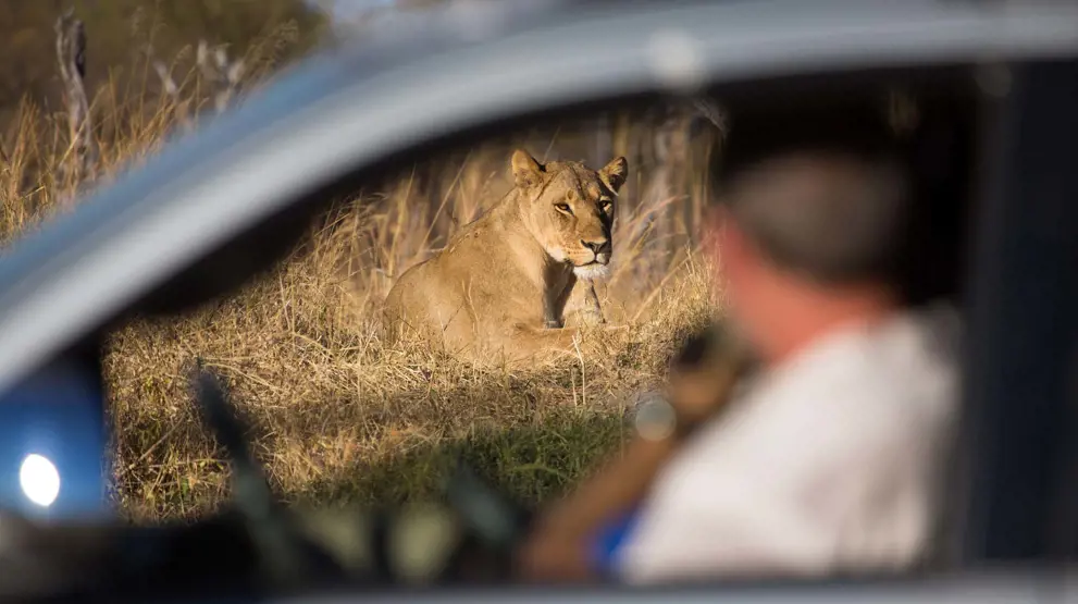 På safari i Hwange National Park