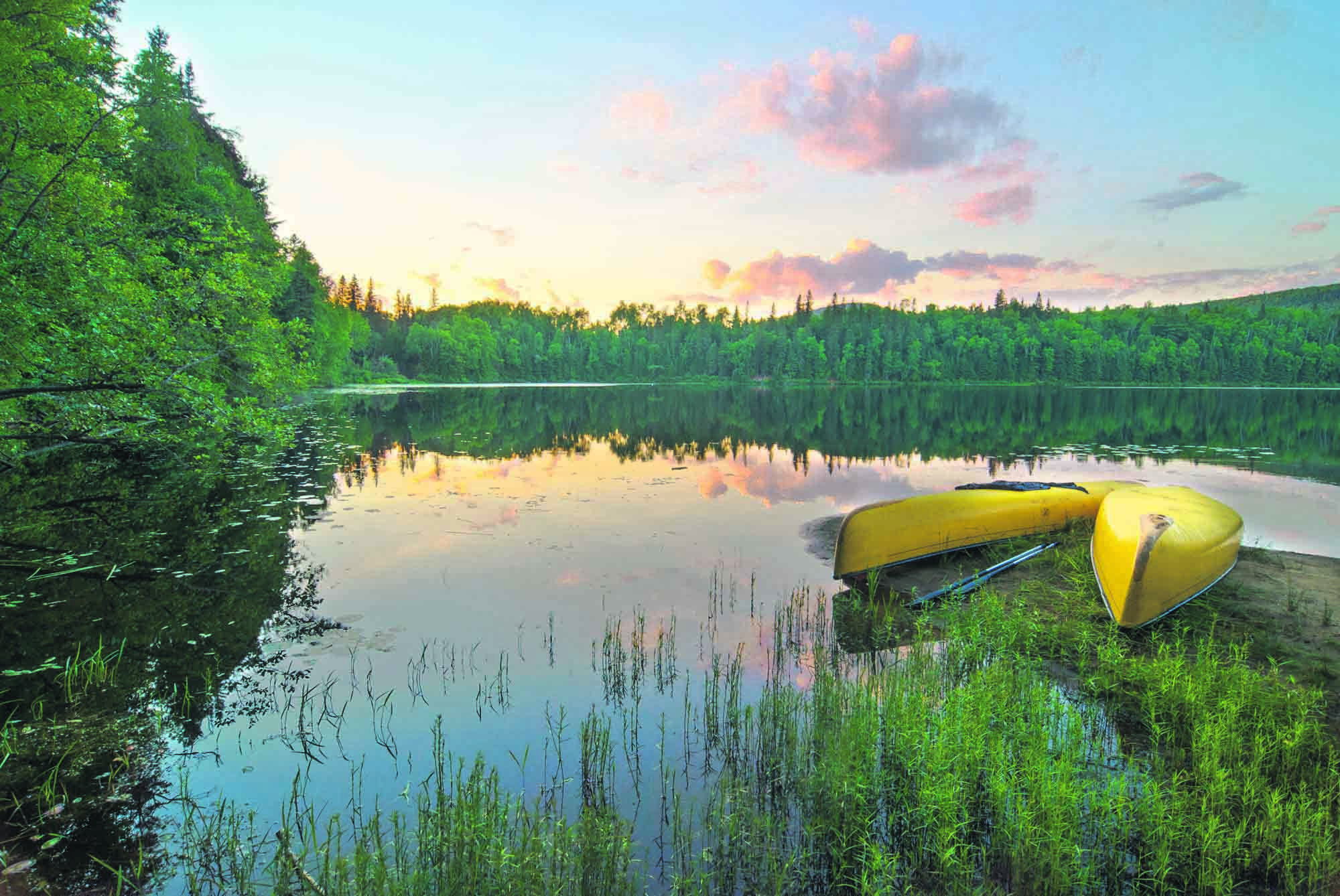 Rejser til Algonquin Provincial Park