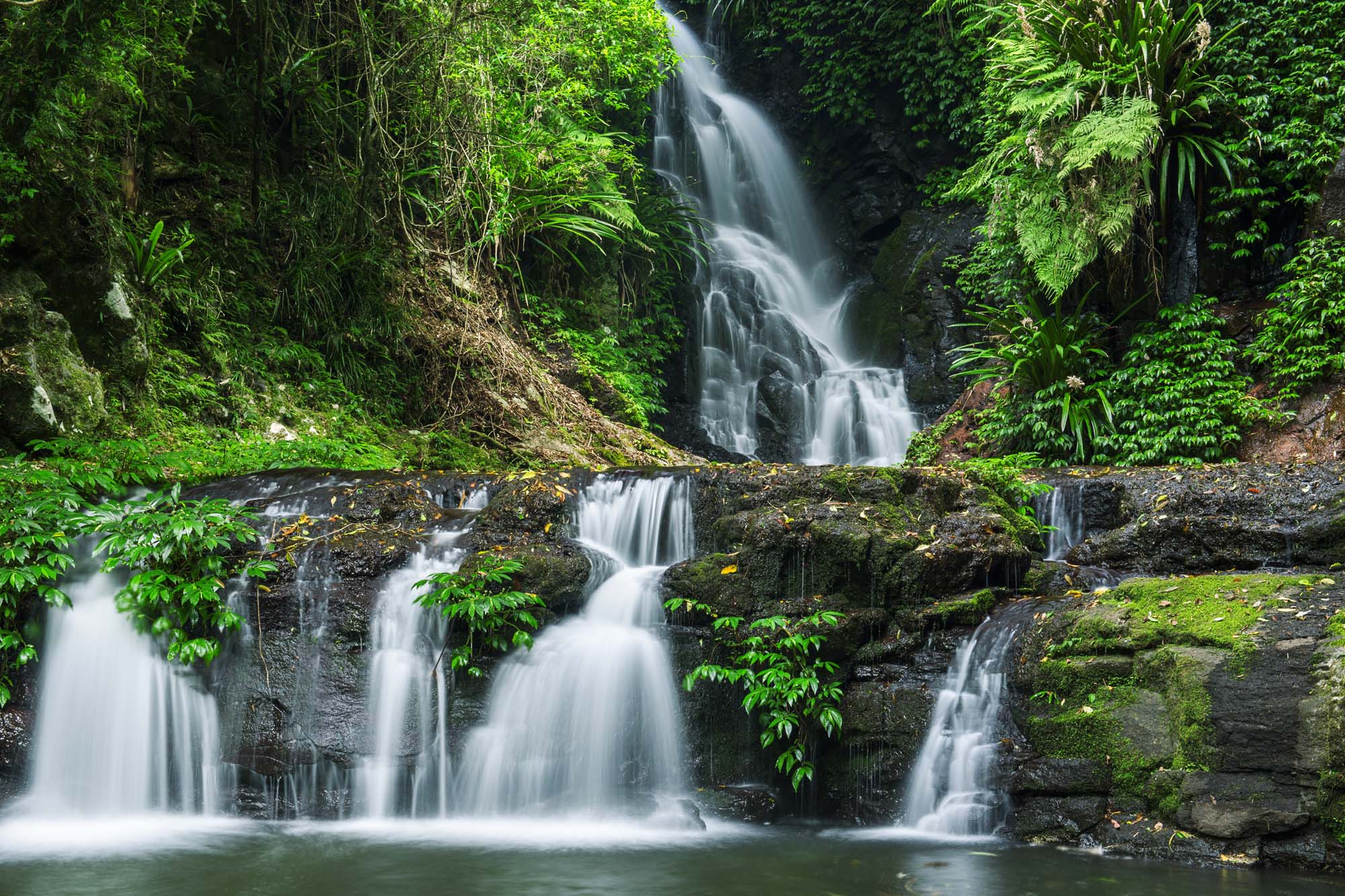 På rejser til Queensland kan du opleve Elabana Falls i Lamington National Park. 