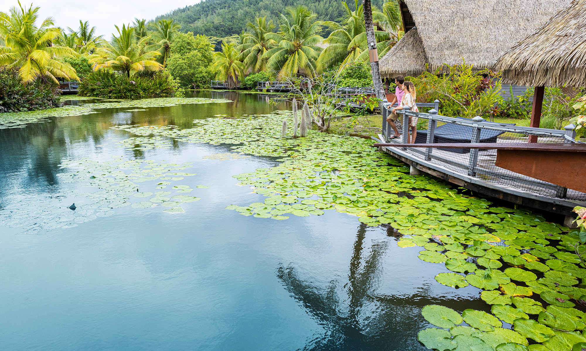 Nyd udsigten til søen | © Grégoire Le Bacon
